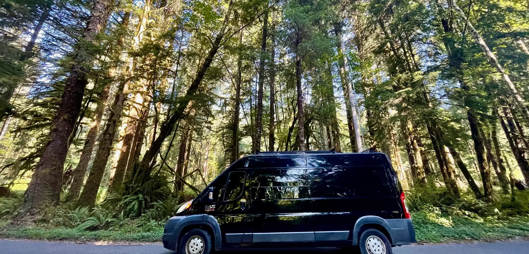 Van power gear laid out for buyer guides